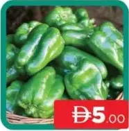 Capsicum Green