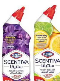 Clorox منظف المراحيض كلوركس سنتيفا متنوع