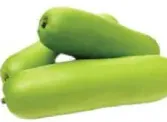 bottle gourd