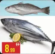 Kora / Tuna