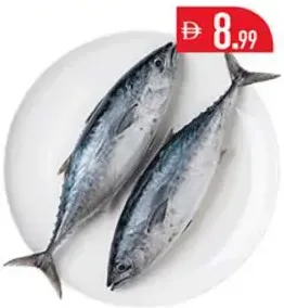 White Tuna Fresh