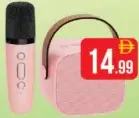 Wireless Karaoke Speaker with Mic