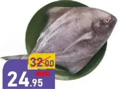Black Pomfret