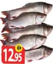 Rohu 1.5 Up