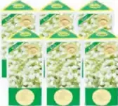 Raja عطر الفل الرجاء
