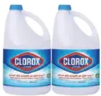 Clorox Bleach Regular
