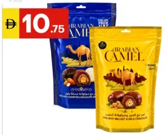 Arabian Camel Assorted Chocolate Dates