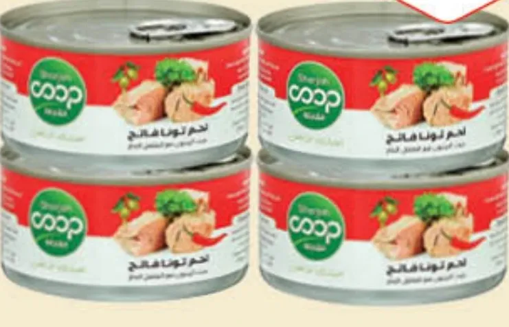 Sharjah سمك التونة
