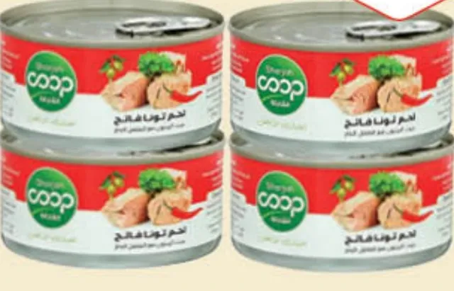 Sharjah Tuna Olive Oil & Chilli