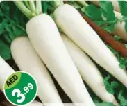 فجل