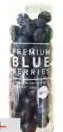 Blue Berry