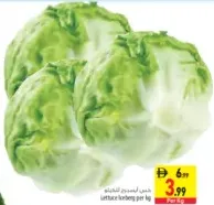 Lettuce Iceberg