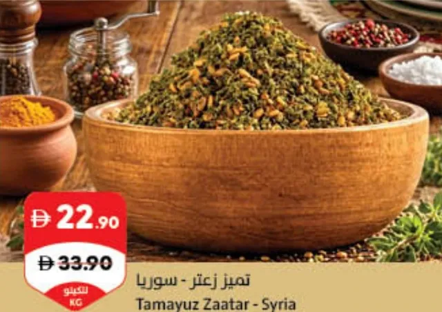 Tamayuz Zaatar - Syria