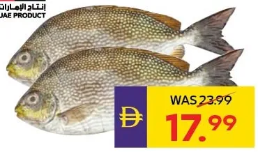 Fresh Local Safi Sunaif