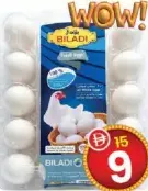 Biladi White Egg