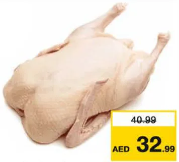 بط مجمد