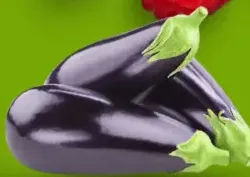Eggplant Big Iran