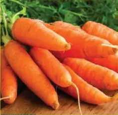 Carrots