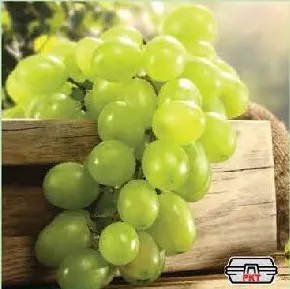 عنب ابيض كبير