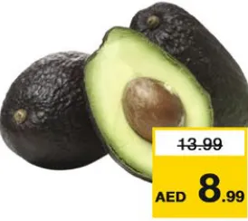 أفوكادو هاس كينيا