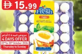 Farm Fresh Eggs Medium