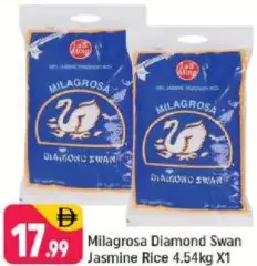 Diamond Swan أرز ياسمين milagrosa