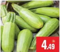 Marrow Big
