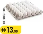 Fresh Egg