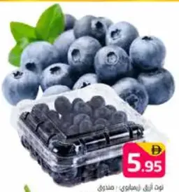 Blue Berry Zimbabwe
