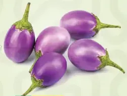 Brinjal Gujarathi