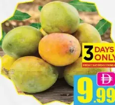 Mango Egypt