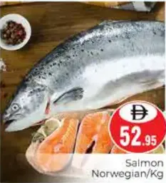 Salmon Fish