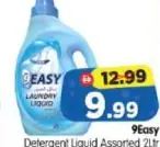 Easy Detergent Liquid Assorted
