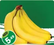 Banana Philippines