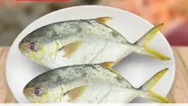 Trevally/Yellow Para