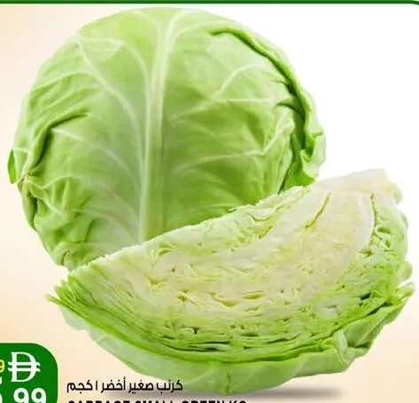 Cabbage Small Green