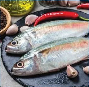 Mackerel