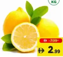 ليمون كبير