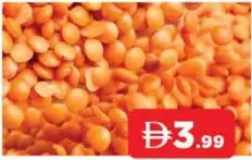 Masoor Dal