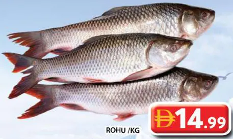 Rohu