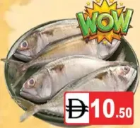 ماكريل