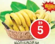 Banana Ecuador