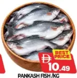 Pankash Fish