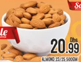 Almond 23/25