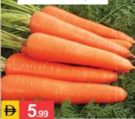 Carrot China