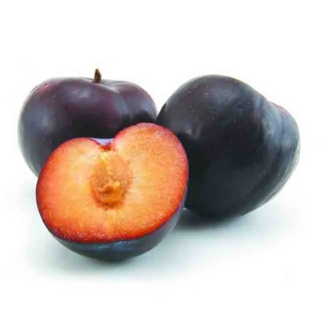 Kibsons برقوق أسود