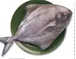 Black Pomfret