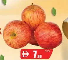 Apple Royal Gala Brazil
