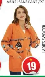 Ladies Sweater