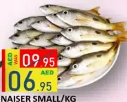 Naiser Small